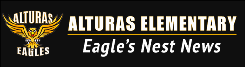 Eagle nest news logo Eagle nest news logo